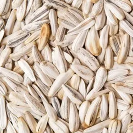 Sunflower seeds